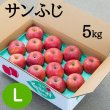 画像1: 贈答用サンふじ 5kg: L (1)