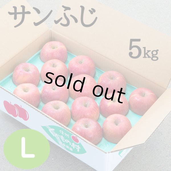 画像1: 贈答用サンふじ 5kg: L (1)