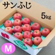 画像1: 贈答用サンふじ 5kg: Ｍ (1)