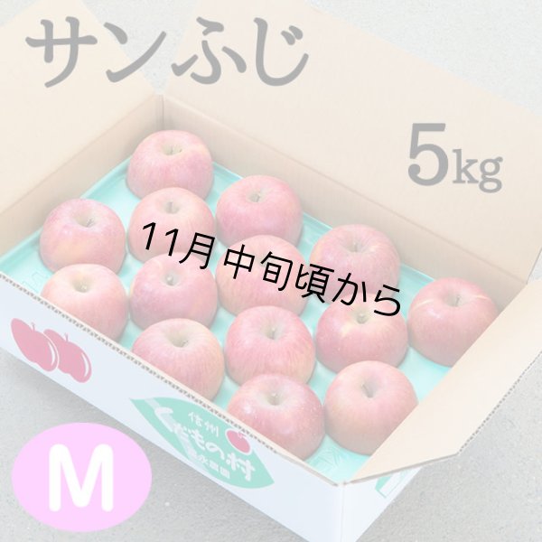 画像1: 贈答用サンふじ 5kg: Ｍ (1)