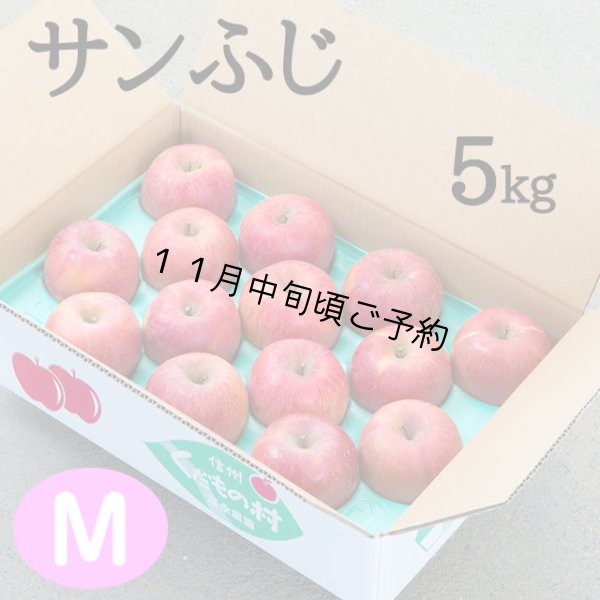 画像1: 贈答用サンふじ 5kg: Ｍ (1)