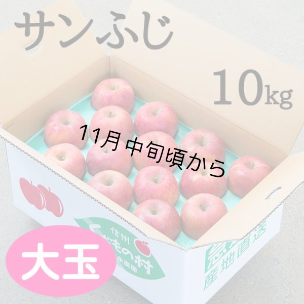 画像1: 贈答用サンふじ 10kg: 大玉 (1)