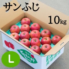 贈答用サンふじ 10kg: Ｌ