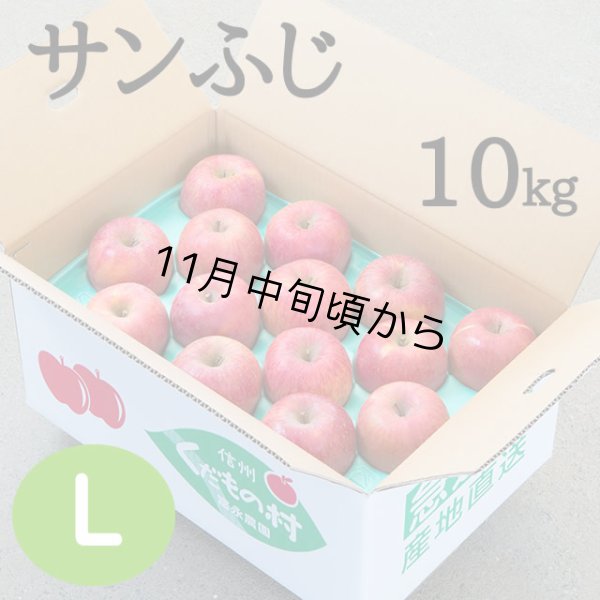 画像1: 贈答用サンふじ 10kg: Ｌ (1)