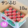 画像1: 贈答用サンふじ 10kg: Ｍ (1)