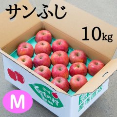 贈答用サンふじ 10kg: Ｍ