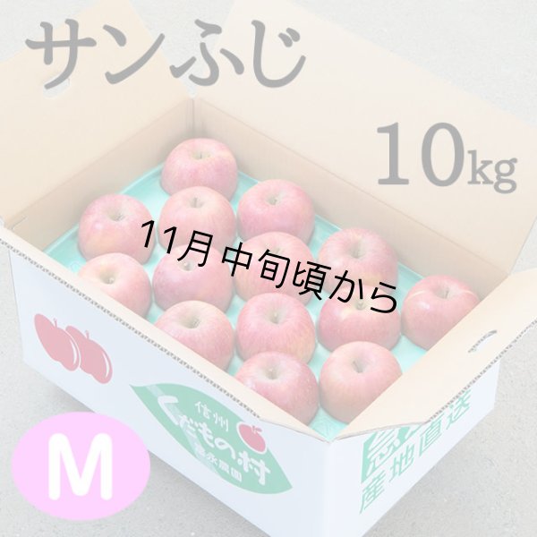 画像1: 贈答用サンふじ 10kg: Ｍ (1)