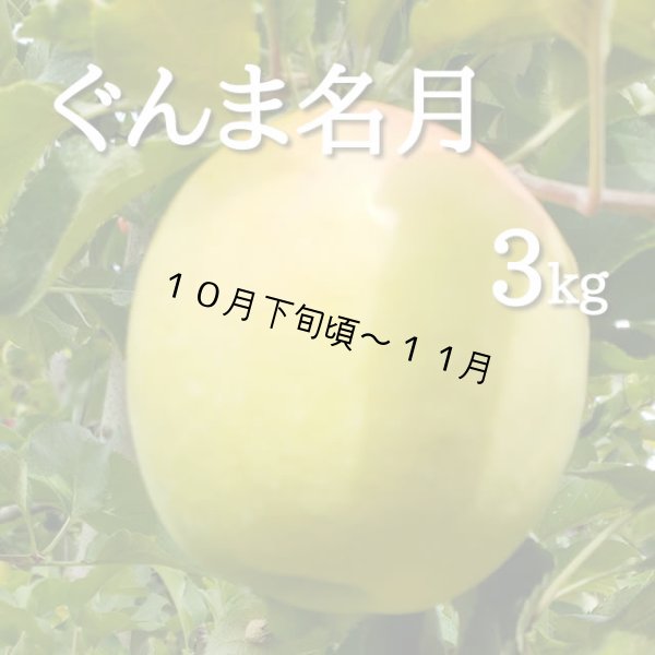 画像1: ぐんま名月3kg (1)