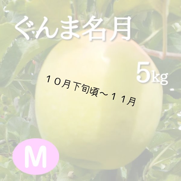 画像1: ぐんま名月5kg: M (1)