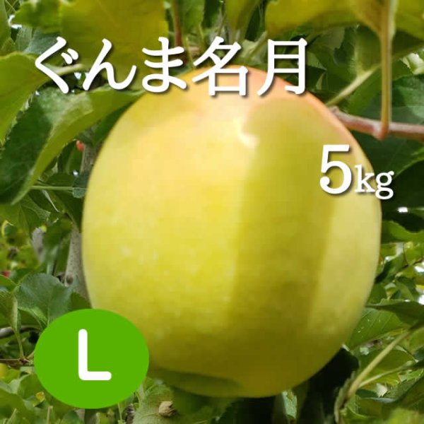 画像1: ぐんま名月10kg: 大玉 (1)