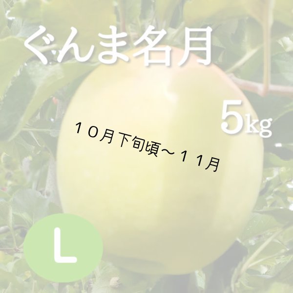 画像1: ぐんま名月5kg: 大玉 (1)