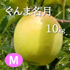 ぐんま名月10kg: M