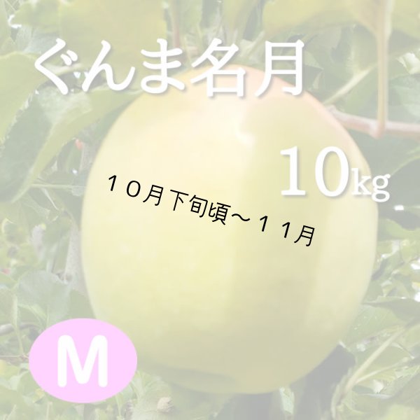 画像1: ぐんま名月10kg: M (1)