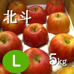 北斗 5kg: L
