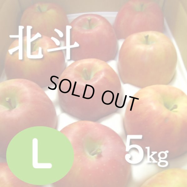 画像1: 北斗 5kg: L (1)