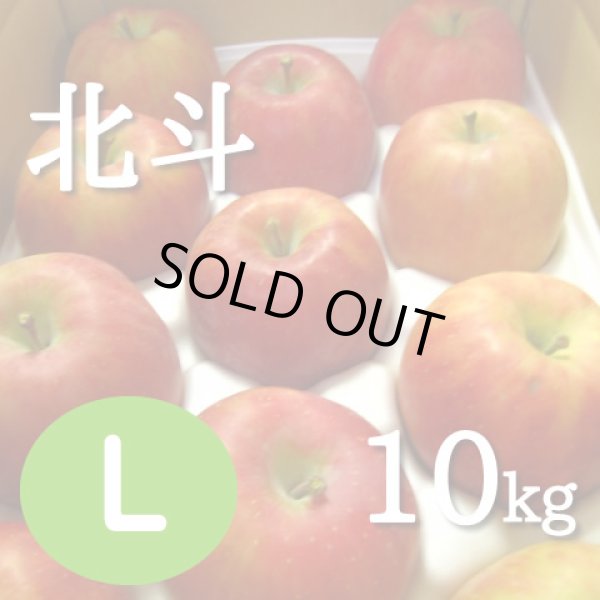 画像1: 北斗10kg: L (1)