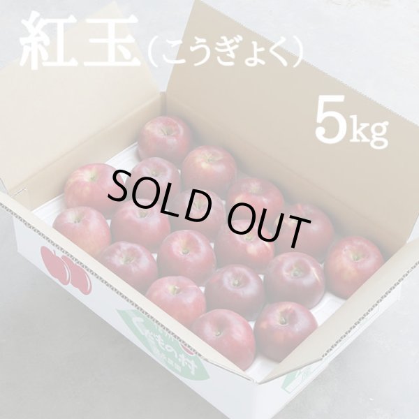 画像1: 紅玉 約5kg±箱 (1)