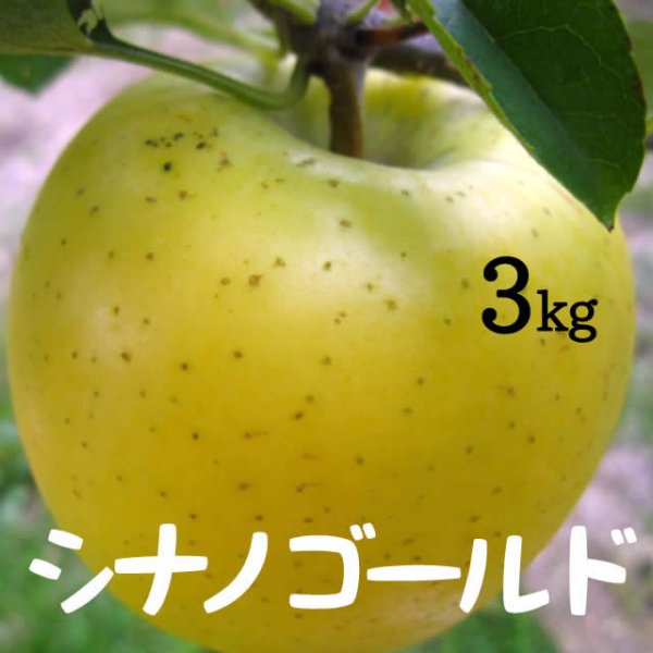 画像1: シナノゴールド3kg (1)