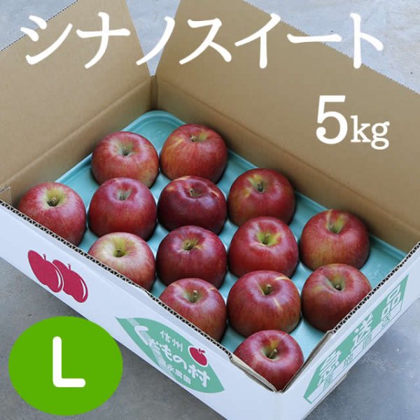 画像1: シナノスイート 5kg: L (1)