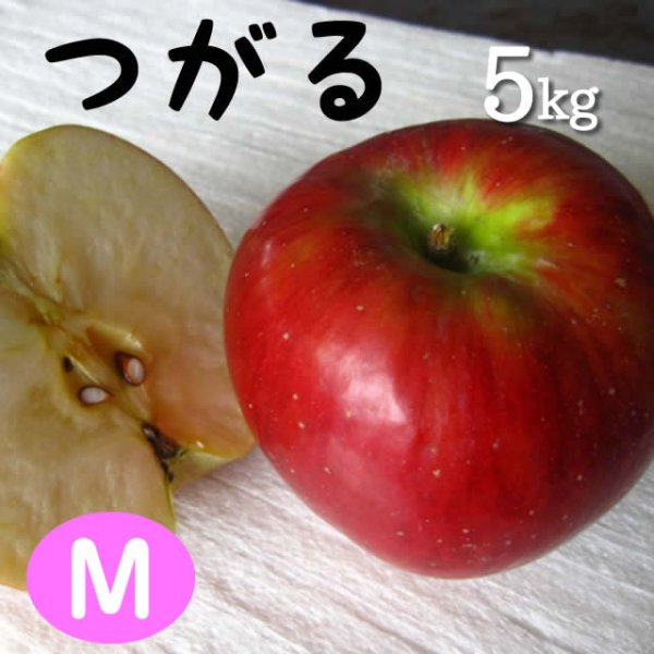 画像1: つがる5kg: M (1)