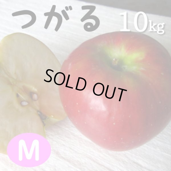 画像1: つがる10kg: M (1)