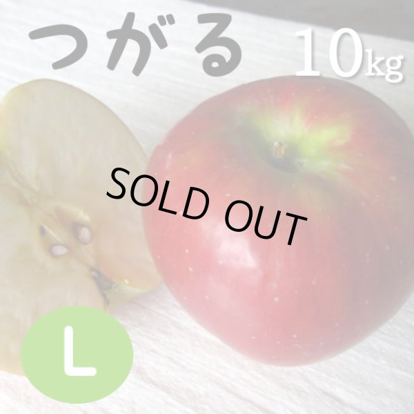 画像1: つがる10kg: L (1)