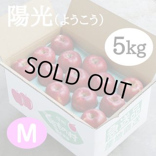秋のりんご（種類いろいろ）｜信州くだもの村富永農園