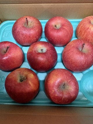 レビュー220-投稿画像1