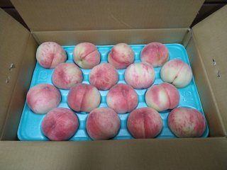 レビュー155-投稿画像1