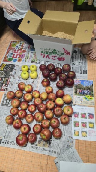 レビュー187-投稿画像1