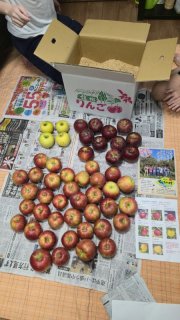 レビュー187-投稿画像1