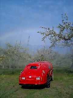 太陽とリンゴと虹