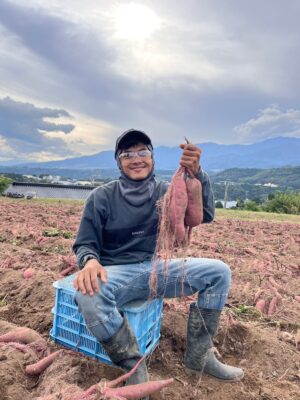 シャインマスカットがとっても甘くて香りが良くて美味しい