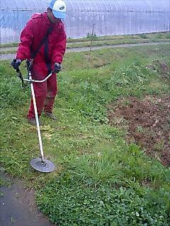 雨の日と言えば