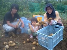 イモを掘りました！