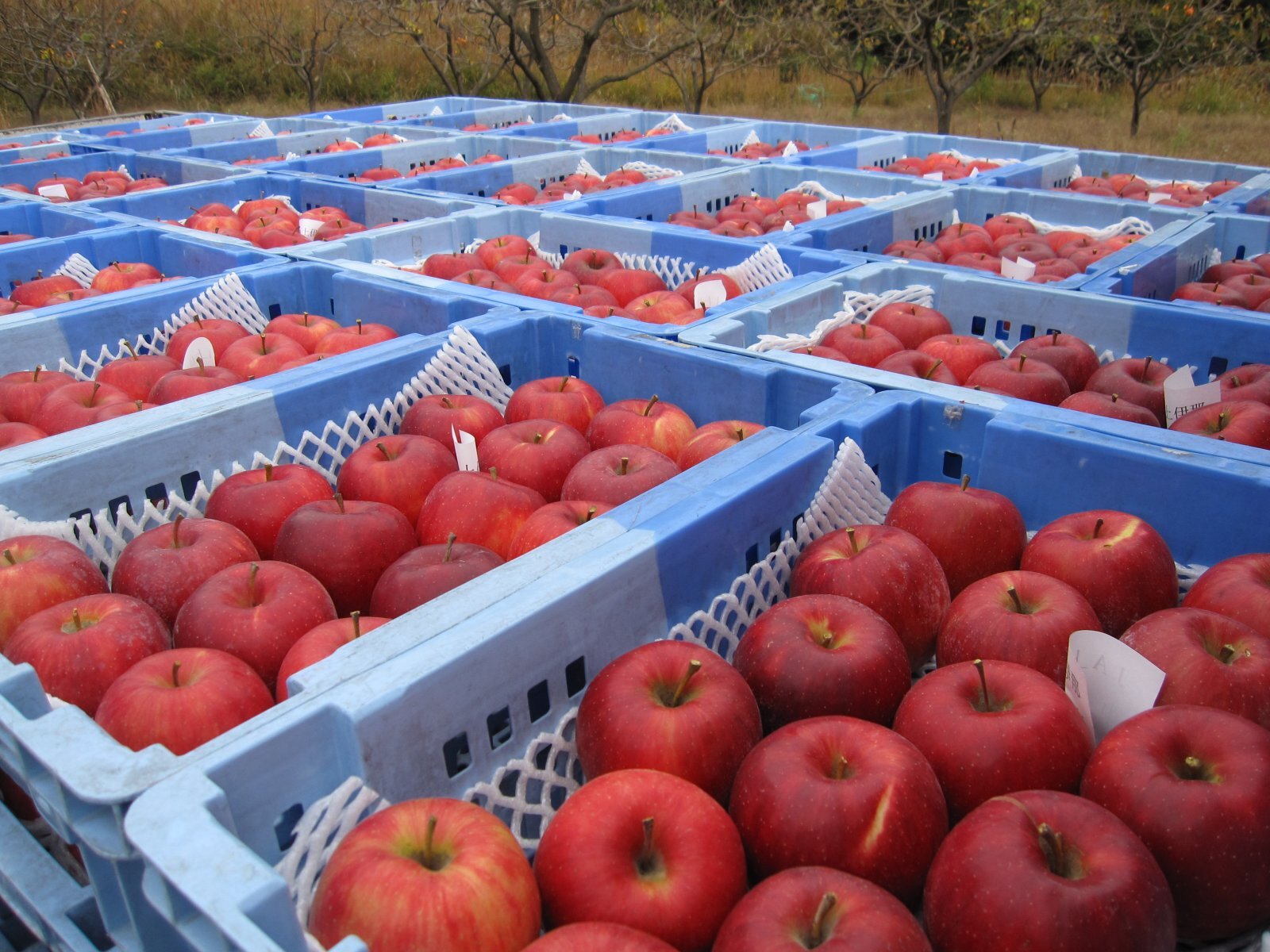 愛知県の方達は、ご存知かと思いますが・・・