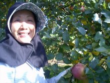 紅葉が始まりました。