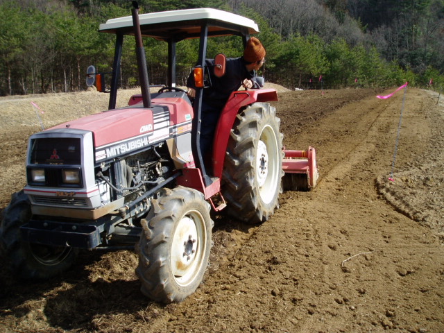 モモの剪定中！