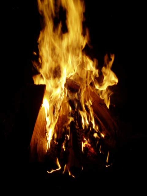 凍霜害を恐れています。