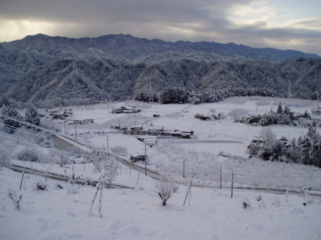 久しぶりの大雪！
