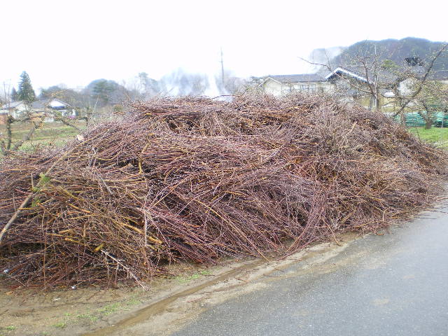 枝を燃やす
