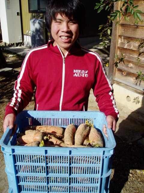 川上村より　ニンジンが届きました。