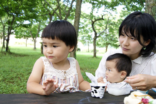 サクランボ研修　ＩＮ　山形