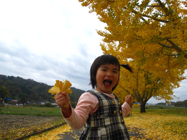 ふじの選果　毎晩進めています！
