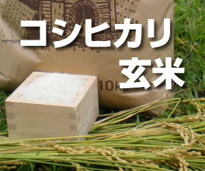 25年度産　コシヒカしましたリ（玄米）　完売しました