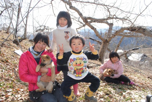 家族が増えました。愛犬リッチ＆モコ