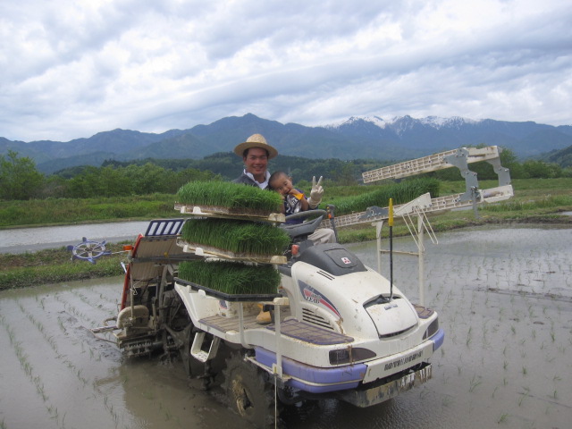 田植え真っ最中！