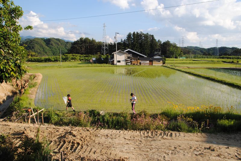 田舎の子供