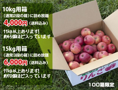 信州くだもの村産　（長野県）　丸かじり小玉サンふじ　お買い得　限定１００箱　蜜入り