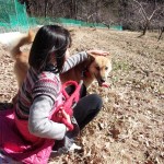 越冬まるかじりリンゴ